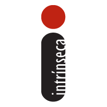 Icone Intrínseca