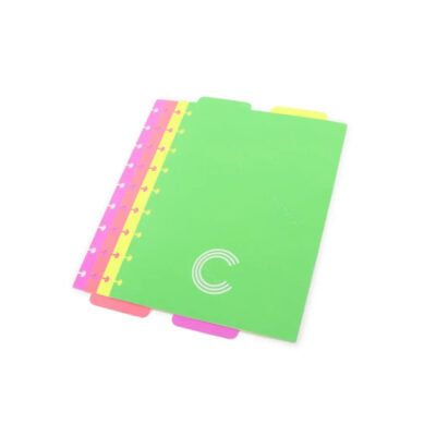 Divisória Com Aba Para Caderno 1/4 A5 Com 4 Unidades - Pastel  coloridas