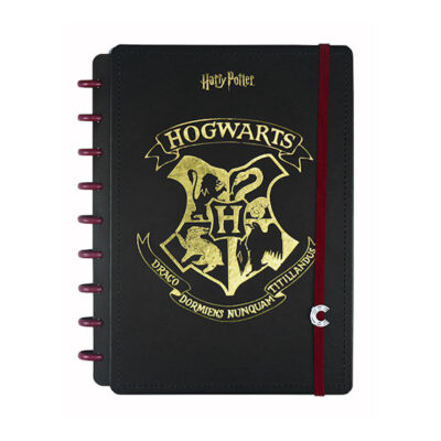 Caderno Inteligente 1/4 A5 Pequeno Espiral Com 80 Folhas - Harry Potter