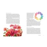 The Color Of Roses - A Curated Spectrum Of 300 Blooms