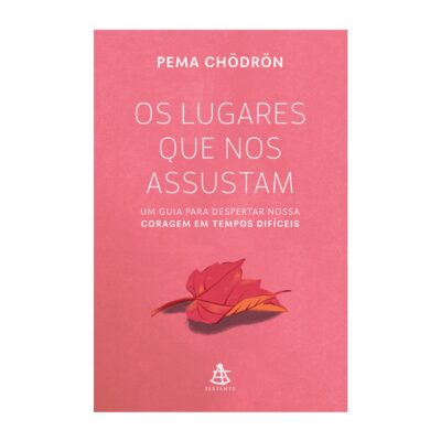 Os Lugares Que Nos Assustam: Um Guia Para Despertar Nossa Coragem Em Tempos Difíceis