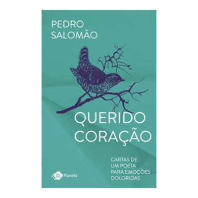 Querido Coração: Cartas De Um Poeta Para Emoções Doloridas