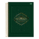 Caderno Universitário Grande Espiral Capa Dura 160 Folhas 10 Matérias Hogwarts Legacy - Estampas Sor