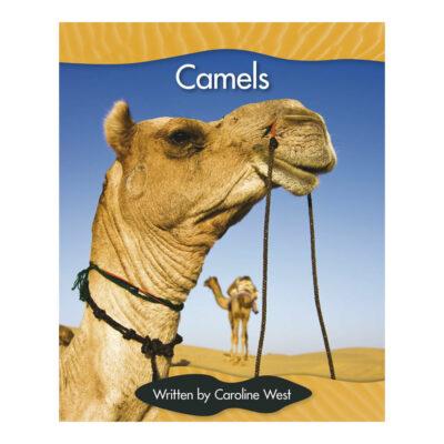 Camels