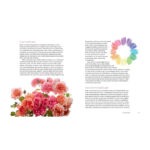The Color Of Roses - A Curated Spectrum Of 300 Blooms