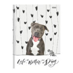 Caderno 1/4 Pequeno Brochura Costurado Sem Mola My Pets - Estampas Sortidas