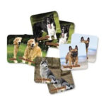 Jogo Super Memoria - Cães E Raças