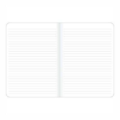 Caderno 1/4 Pequeno Grampeado Capa Flexível Daisy – Estampas Diversas