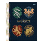Caderno Universitário Grande Espiral Capa Dura 160 Folhas 10 Matérias Hogwarts Legacy - Estampas Sor