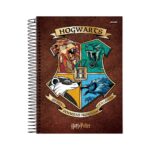 Caderno Colegial Médio Espiral Capa Dura 160 Folhas 10 Matérias Harry Potter - Estampas Sortidas