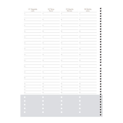 Planner Espiral World Class 2025 – Cores Sortidas