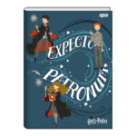 Caderno Brochura Costurado Sem Mola Universitário Capa Dura 96 Folhas Harry Potter - Estampas Sortid