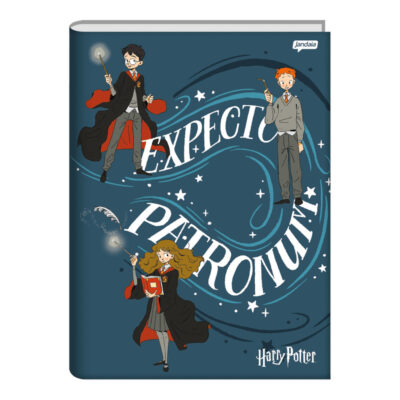 Caderno Brochura Costurado Sem Mola Universitário Capa Dura 96 Folhas Harry Potter - Estampas Sortid
