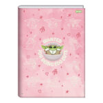 Caderno Brochura Costurado Sem Mola 1/4 80 Folhas Grogu - Estampas Sortidas