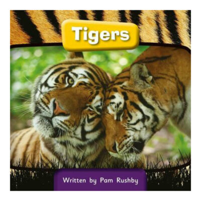 Tigers