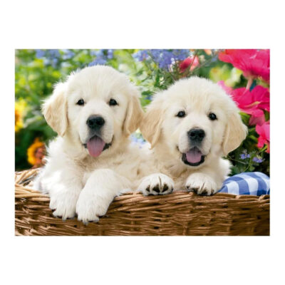 Quebra-Cabeça Com 500 Peças Mini – Cesra De Labradores