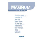 Agenda Costurada Magnum Anual 2026 - Preta