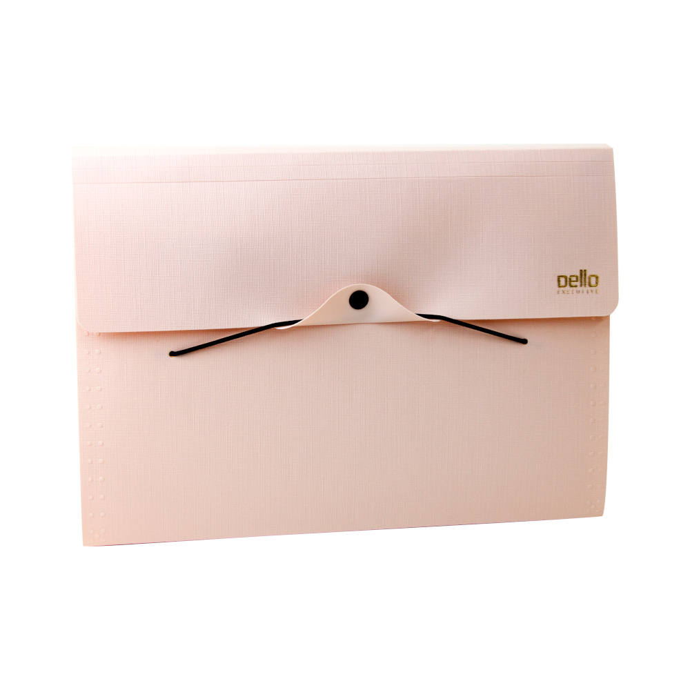 Pasta Sanfonada A4 Executive Com 12 Divisorias - Rosa Pasta Sanfonada A4 Executive Com 12 Divisorias - Rosa