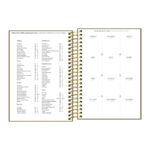 Agenda Espiral M5 Napoli 2026 - Cores Sortidas