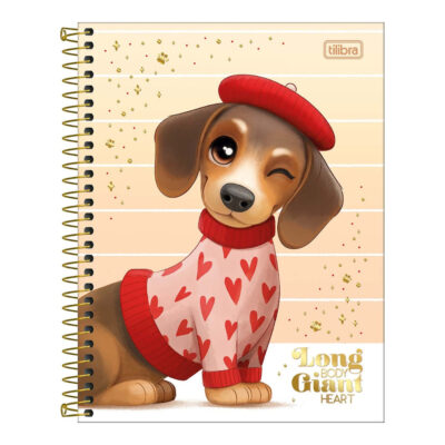 Caderno Espiral Colegial Médio Capa Dura 60 Folhas Brownie - Estampas Sortidas