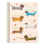 Caderno Espiral Universitário Grande Capa Dura 256 Folhas 16 Matérias Brownie - Estampas Sortidas