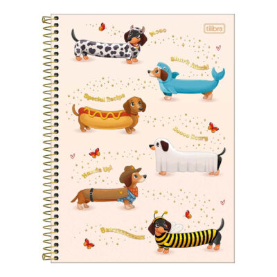 Caderno Espiral Universitário Grande Capa Dura 256 Folhas 16 Matérias Brownie - Estampas Sortidas
