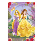 Caderno 1/4 Pequeno Brochura Costurado Sem Mola Capa Dura 80folhas Princesas - Estampas Sortidas