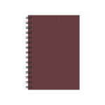 Agenda Espiral Diária Cristal 2026 - Cores Sortidas