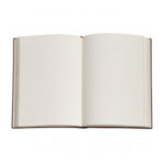 Caderno Colegial Capa Dura 144 Páginas Com Pauta Ultra - Blue Willow