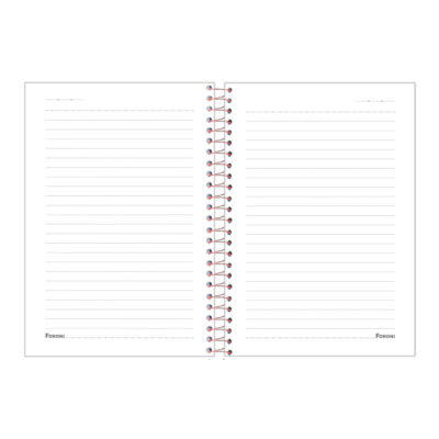 Caderno 1/4 Pequeno Espiral Capa Dura 80 Folhas Blush – Estampas Sortidas