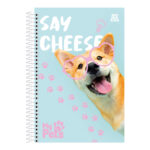 Caderno 1/4 Pequeno Espiral Capa Dura 80 Folhas My Pets - Estampas Sortidas Caderno 1/4 Pequeno Espiral Capa Dura 80 Folhas My Pets - Estampas Sortidas