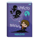 Caderno 1/4 Pequeno Brochura Costurado Sem Mola Capa Dura 96 Folhas Harry Potter - Estampas Sortidas Caderno 1/4 Pequeno Brochura Costurado Sem Mola Capa Dura 96 Folhas Harry Potter - Estampas Sortidas