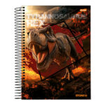 Caderno Espiral Universitário Grande Capa Dura 80 Folhas Stone - Estampas Sortidas