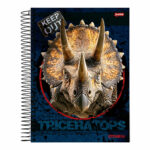 Caderno Espiral Universitário Grande Capa Dura 80 Folhas Stone - Estampas Sortidas