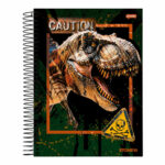 Caderno Espiral Universitário Grande Capa Dura 80 Folhas Stone - Estampas Sortidas