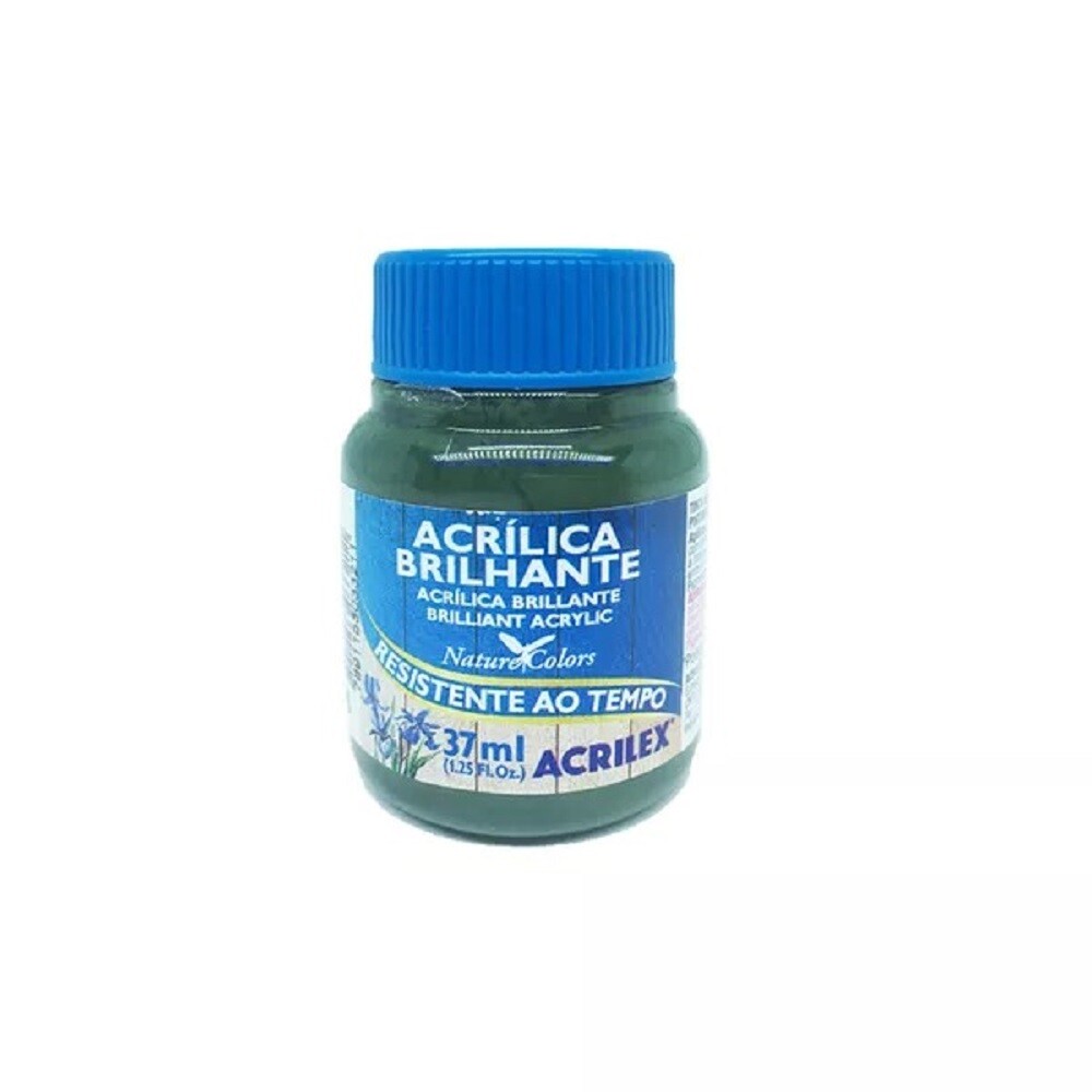 Tinta AcrÍlica Brilhante 37ml - Verde Oliva Tinta AcrÍlica Brilhante 37ml - Verde Oliva