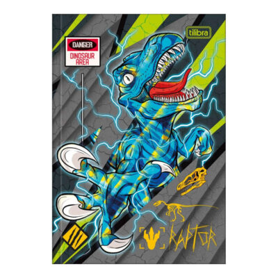 Caderno 1/4 Pequeno Brochura Costurado Sem Mola Capa Dura 48 Folhas Raptor - Estampas Sortidas