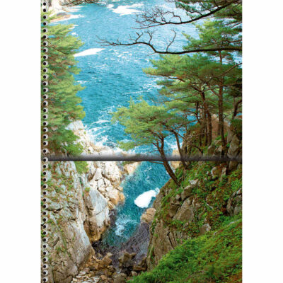 Caderno Espiral Universitário Grande Capa Dura 240 Folhas 12 Matérias Freedom – Estampas Sortidas