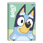 Caderno 1/4 Pequeno Brochura Costurado Sem Mola Capa Dura 80 Folhas Bluey - Estampas Sortidas