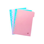 Divisória Fichário A4 - Cores Diversas