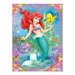 Caderno Brochura Costurado Sem Mola Universitário Grande Capa Dura 48 Folhas Princesas - Estampas So Caderno Brochura Costurado Sem Mola Universitário Grande Capa Dura 48 Folhas Princesas - Estampas So