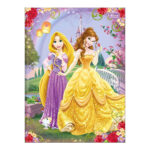 Caderno Brochura Costurado Sem Mola Universitário Grande Capa Dura 48 Folhas Princesas - Estampas So Caderno Brochura Costurado Sem Mola Universitário Grande Capa Dura 48 Folhas Princesas - Estampas So