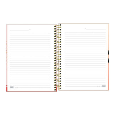 Caderno Espiral Colegial Médio Capa Dura 60 Folhas Brownie – Estampas Sortidas