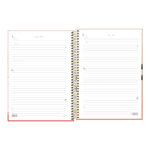 Caderno Espiral Universitário Grande Capa Dura 256 Folhas 16 Matérias Brownie - Estampas Sortidas