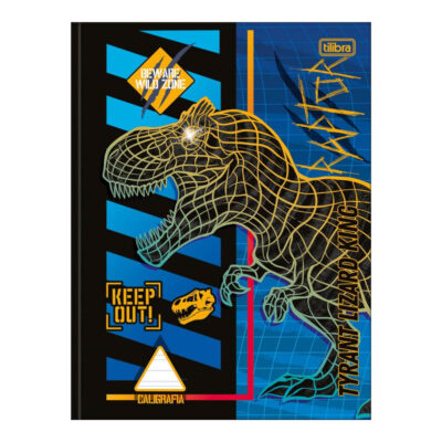 Caderno Brochura Costurado Sem Mola Caligrafia Capa Dura 40 Folhas Raptor - Estampas Sortidas