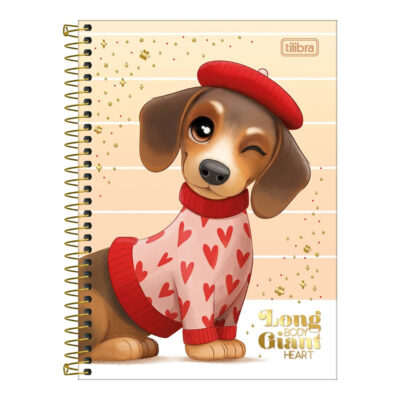 Caderno 1/4 Pequeno Espiral Capa Dura 80 Folhas Brownie - Estampas Sortidas