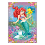 Caderno 1/4 Pequeno Brochura Costurado Sem Mola Capa Dura 80folhas Princesas - Estampas Sortidas