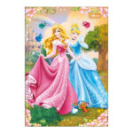 Caderno 1/4 Pequeno Brochura Costurado Sem Mola Capa Dura 80folhas Princesas - Estampas Sortidas
