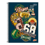 Caderno Universitário Grande Capa Dura 240 Folhas 12 Matérias D+ : Estampas Diversas