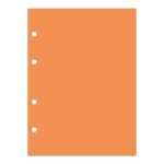 Bloco Refil Tiliflex Fichário Caderno Argolado Colegial 4 Furos 80 Folhas - Neon Kori